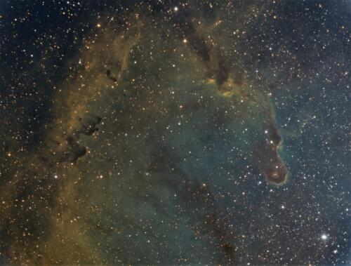 2018_ic1396_Manu