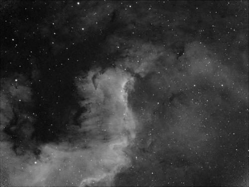 Image enregistrée avec les ajustements appliqués.