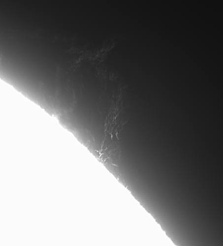 2021_0906_Soleil_2_olivier