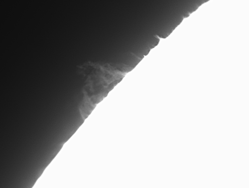 2021_0906_Soleil_4_olivier