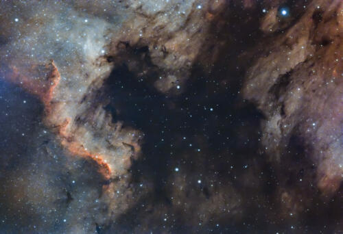 2021_NGC7000-Nico