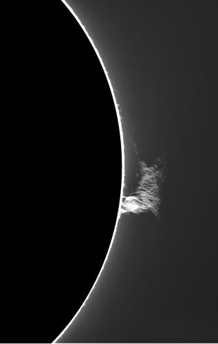 2021_Soleil_Protu_Jean_Marc0330 - Protu@30sec