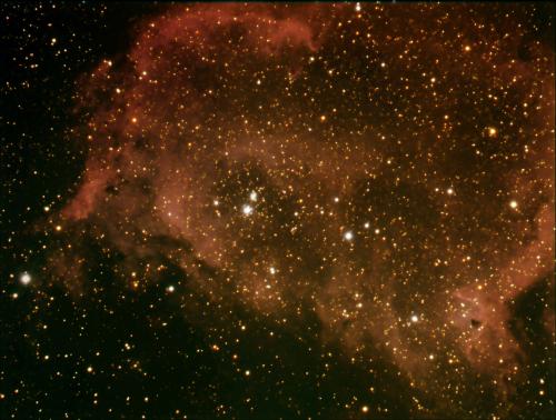 Image enregistre avec les ajustements appliqus.