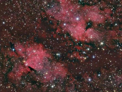 2016_ic 1318fred