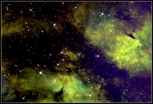 2016_ic1318 (papillon)
