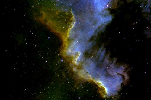 2016_ngc7000-floride