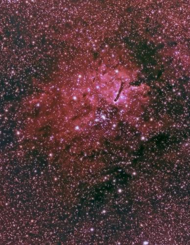 2017_ngc6823fred