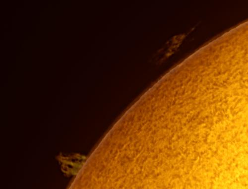 2017_sun_140631_g3_ap42