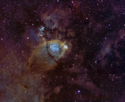 2020_ic1795hsofred
