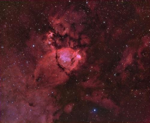 2020_ic1795rvbfred