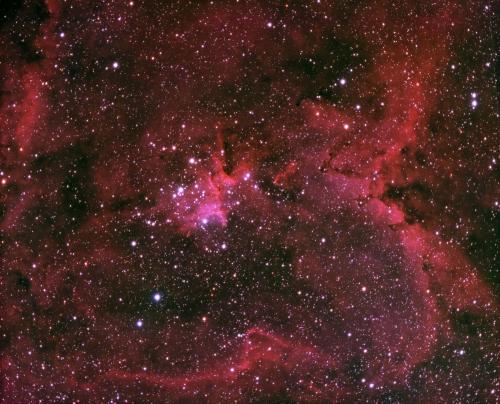 2020_ic1805fred