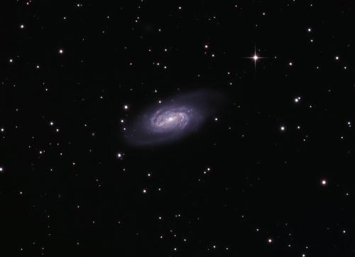 2020_ngc2903fred