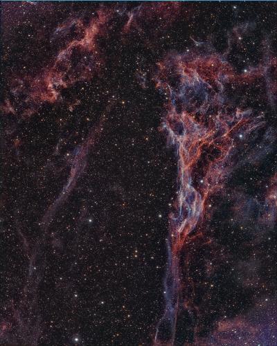 2020_triangledepickeringmixfred