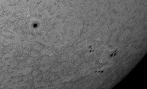 2022-04-27-0724_Olivier