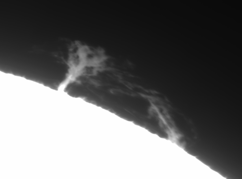 2022-04-27-1225 Olivier