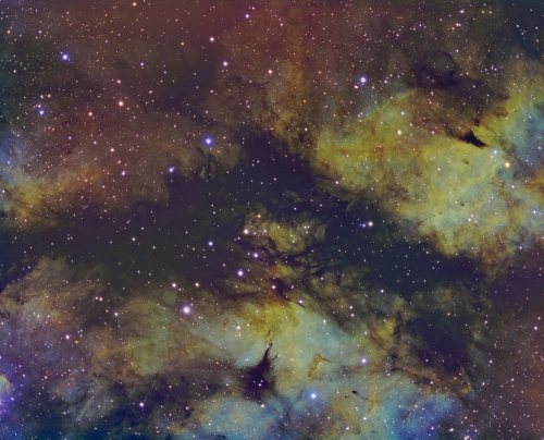 2022_ic1318fred
