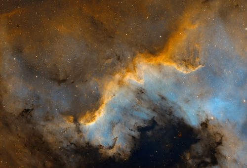 2023_cygnus_wall_Nico