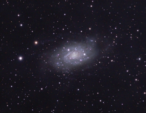 2024_ngc2403fred