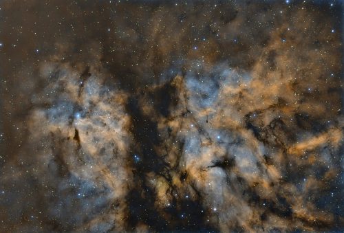 2025_Barnard_347_win_Manu