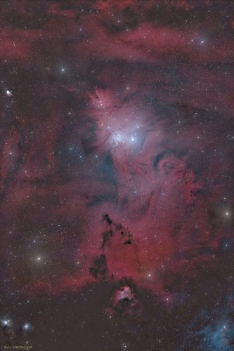 2025_Christmas_Tree_EricM