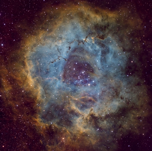 2025_Rosette SHO 12h Eric M