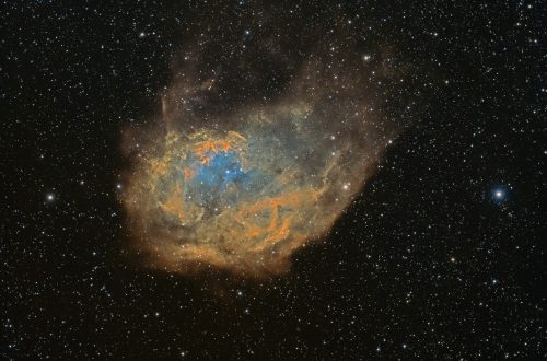 2025_SH2_261_full_win