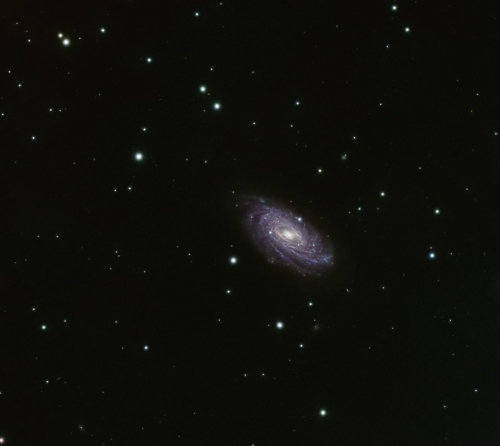 2025_ngc3953fred