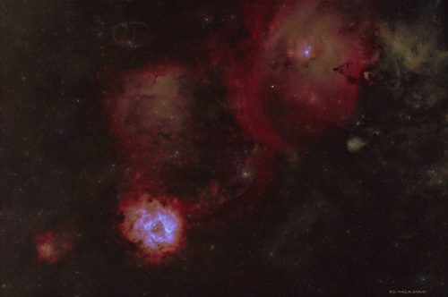 2026 Grand Champs Rosette Eric