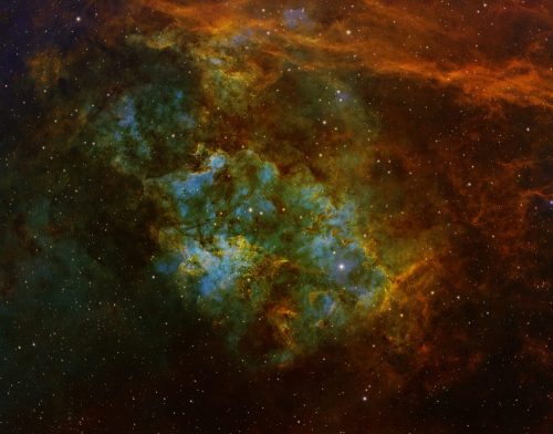 2026_sh2-115fred