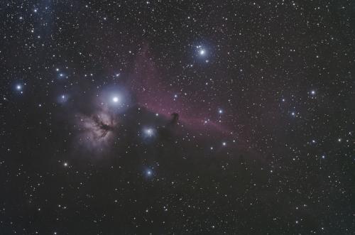 OLD_M42_Tete_de_Cheval