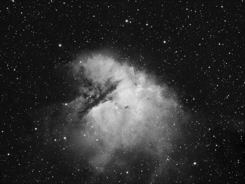 Image enregistrée avec les ajustements appliqués.