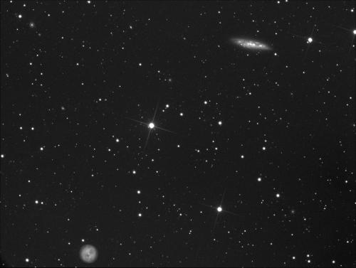 Image enregistrée avec les ajustements appliqués.