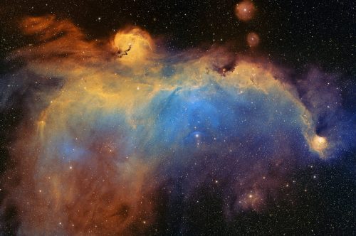 ic2177_finale reduite Manu François