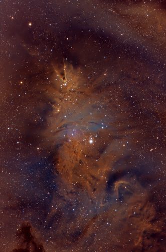 ngc2264_full_v2